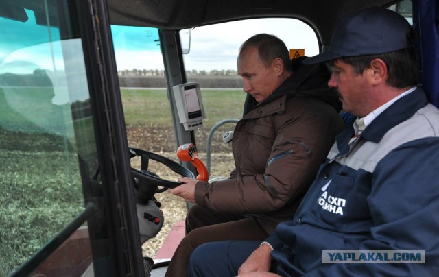 Король Нидерландов 21 год работал пилотом пассажирских самолётов инкогнито