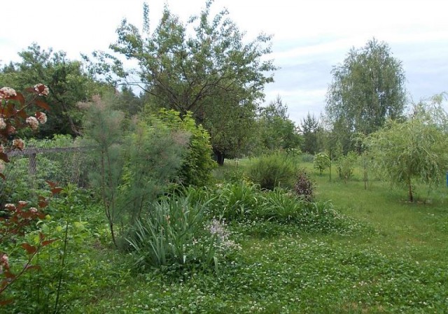 У меня есть дача.