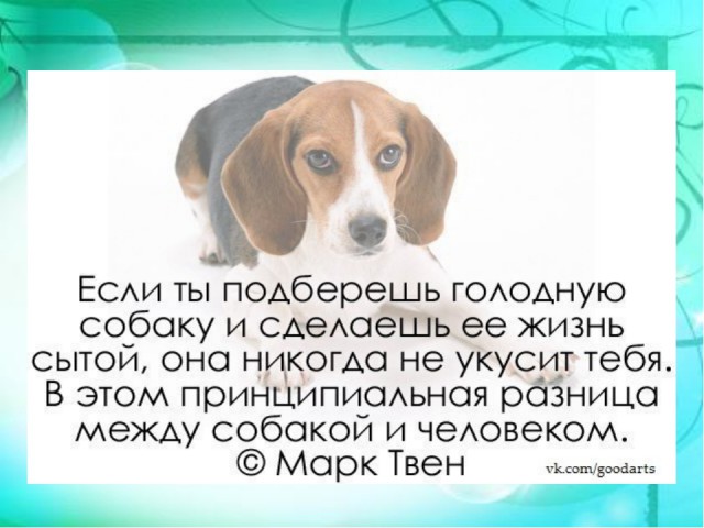 Пёс