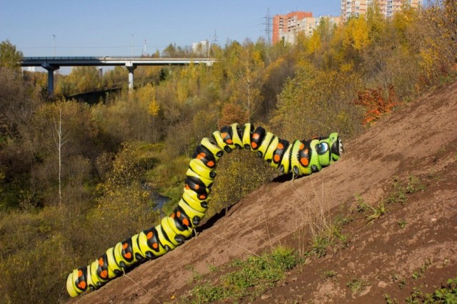 Подборка интересных и веселых картинок