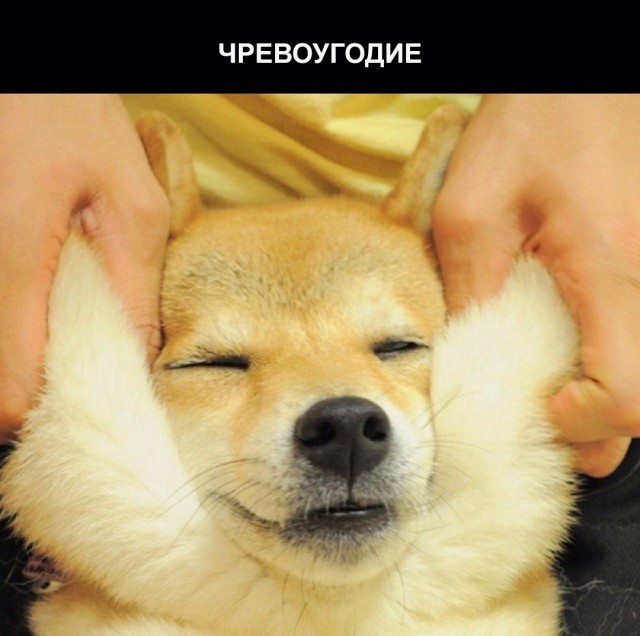 Картинки разные