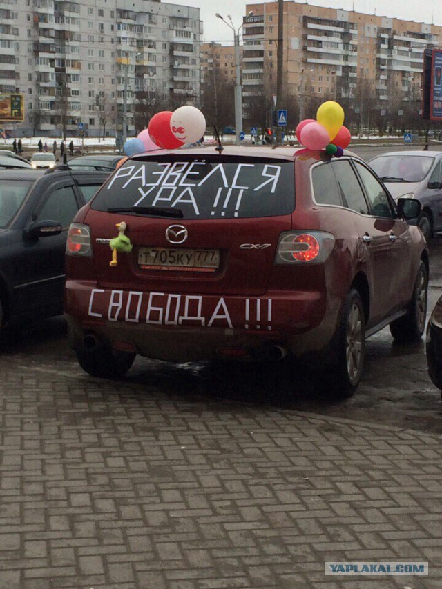 Просто картинки