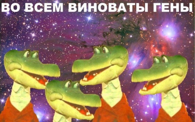 Женские фетиши в мужской внешности