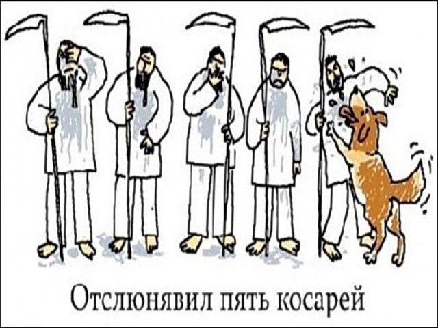 Просто юмор №28