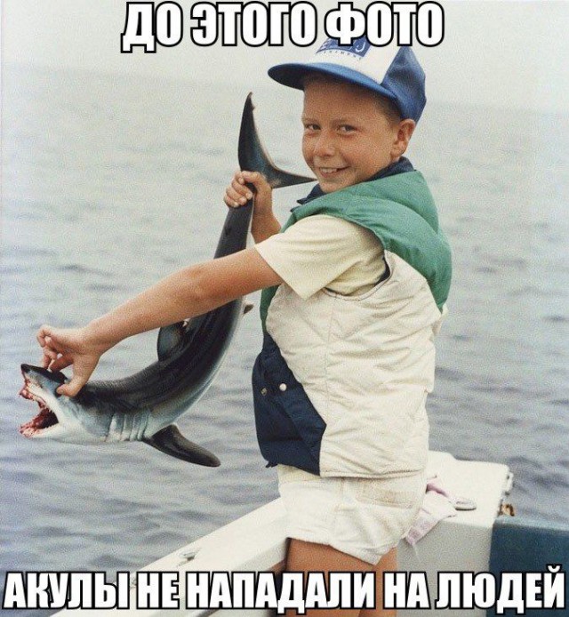 Немного картинок на среду