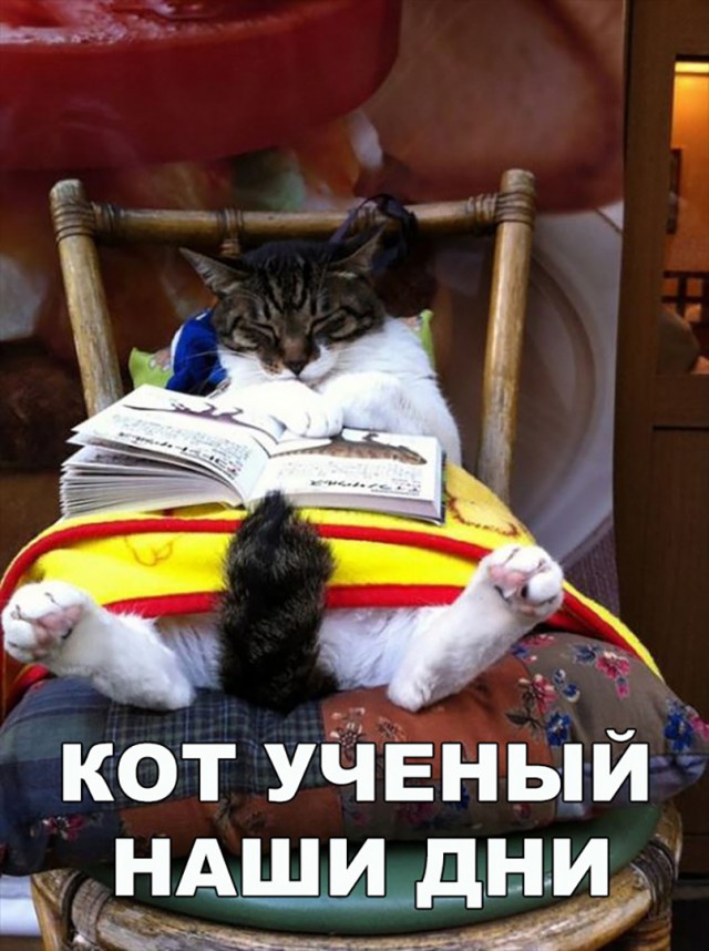 Немного милоты