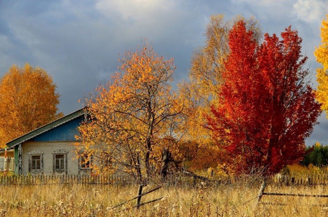 Осень в деревне