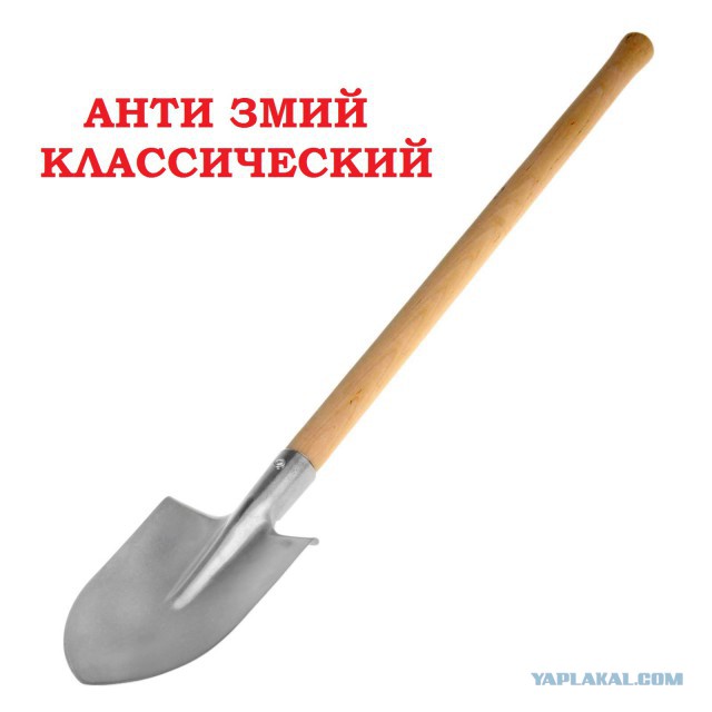 Неподвижная подвижность змеи