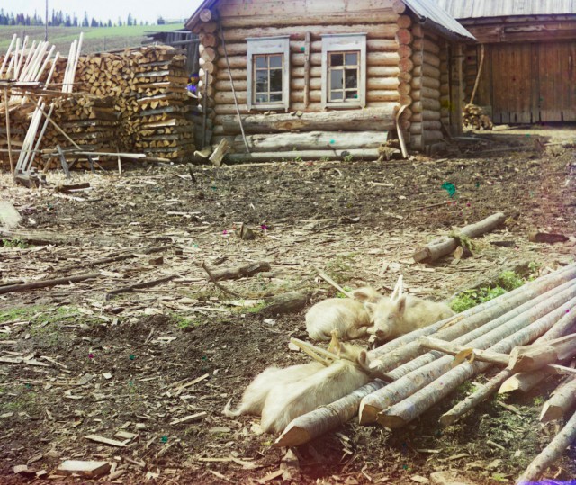 Фотографии Российской Империи