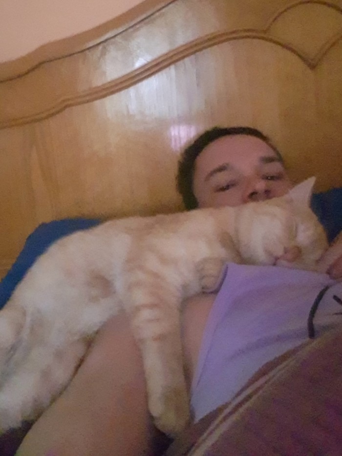 Вот так котовторник