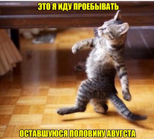 Чуток картинок! 11.08.19