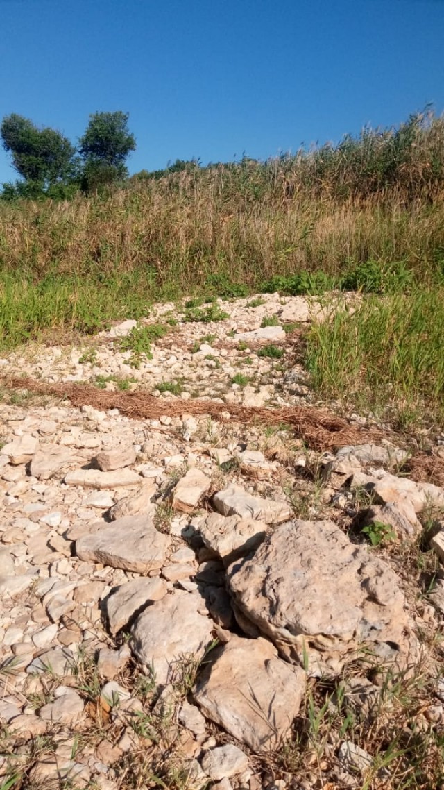 Мыть сапоги в индийском океане, или как мы в Морской Чулек гоняли