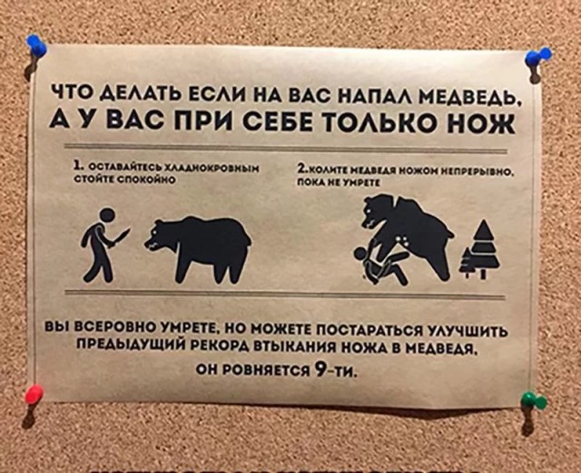На Урале мужчина оставил спутницу медведю и убежал