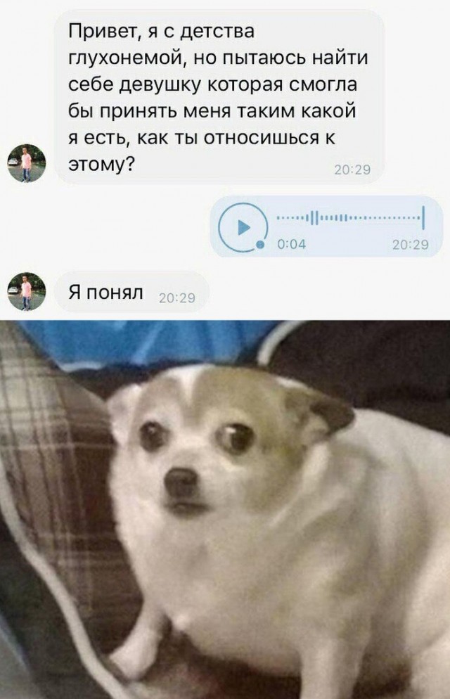 Не очень адекватный юмор 13.10.19