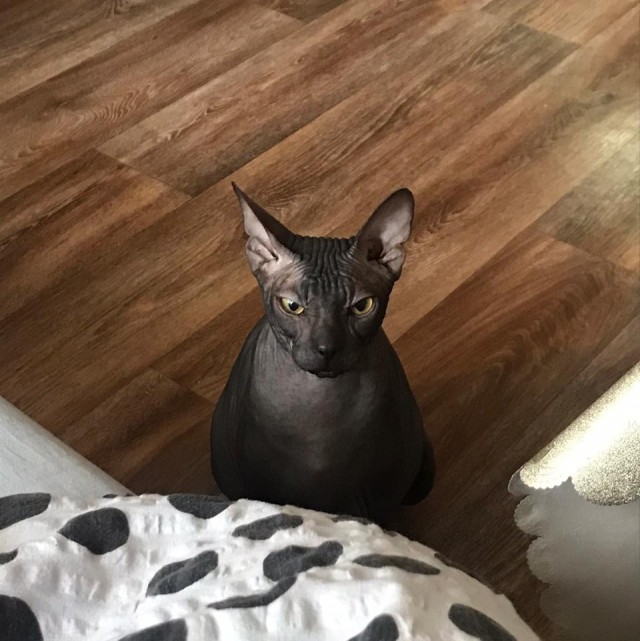 Paзнoвиднocти тьмы