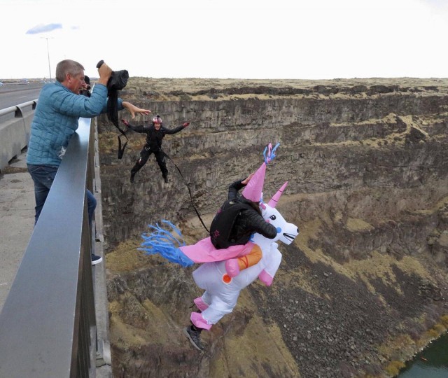 Фото, сделанные в нужный момент