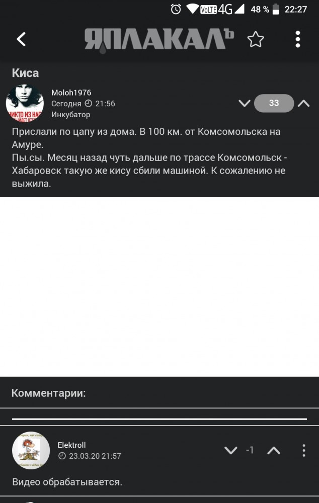 Киса