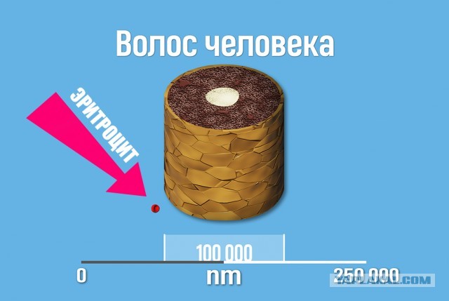 От 1 нанометра и до 1 миллиметра