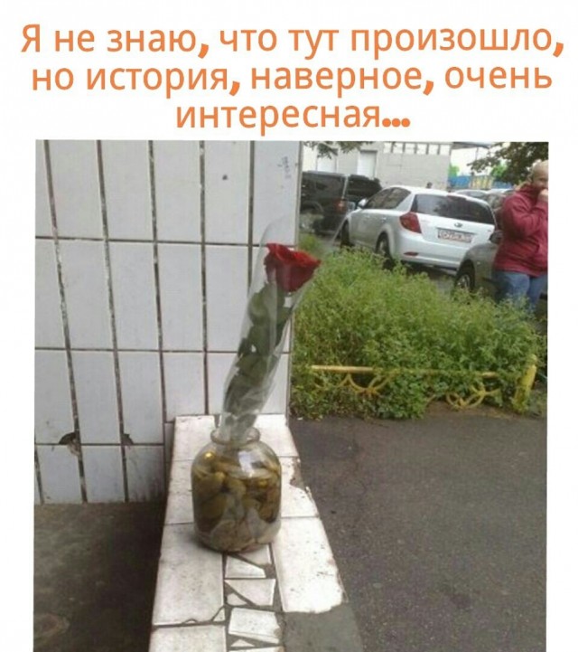 Немного картинок для настроения 111