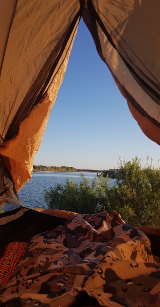 Лучше любого ресторана