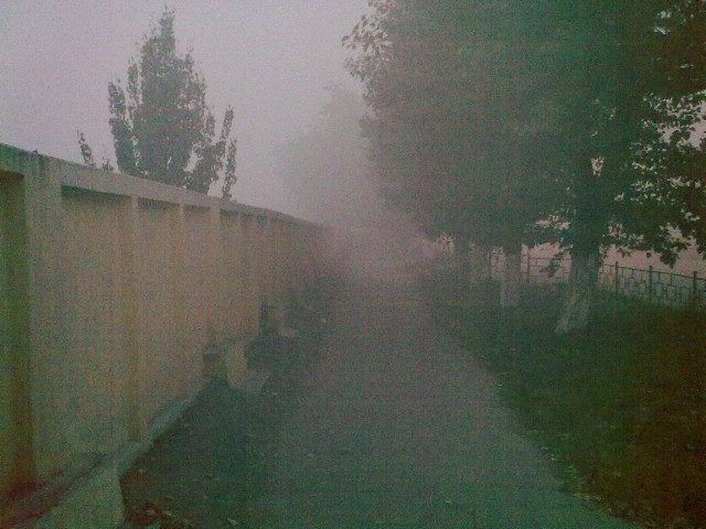 Вспомним 2010г