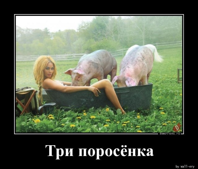 Своя баня или когда дурная голова рукам покою не даёт