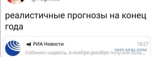 Немного картинок для настроения 31.10.20