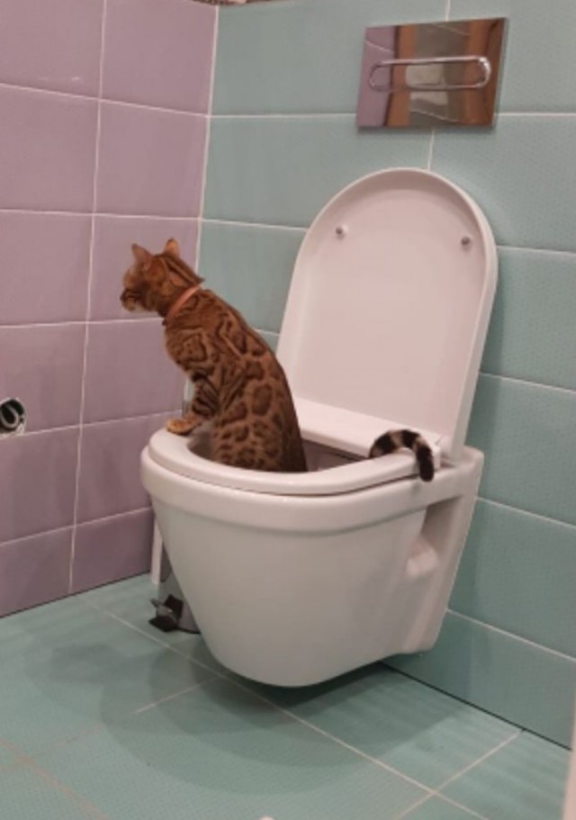 Моя красотка