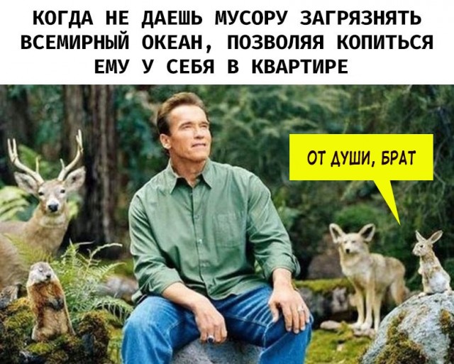 Картинки всякие 13.02.21