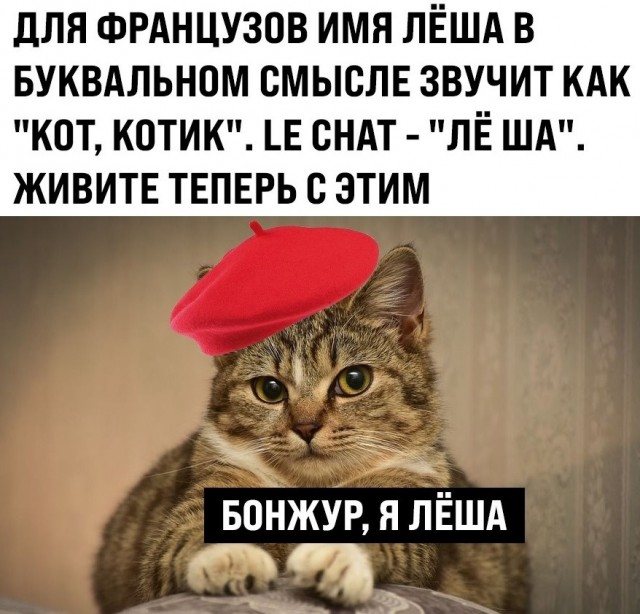 Весёлый полтишок 2.03