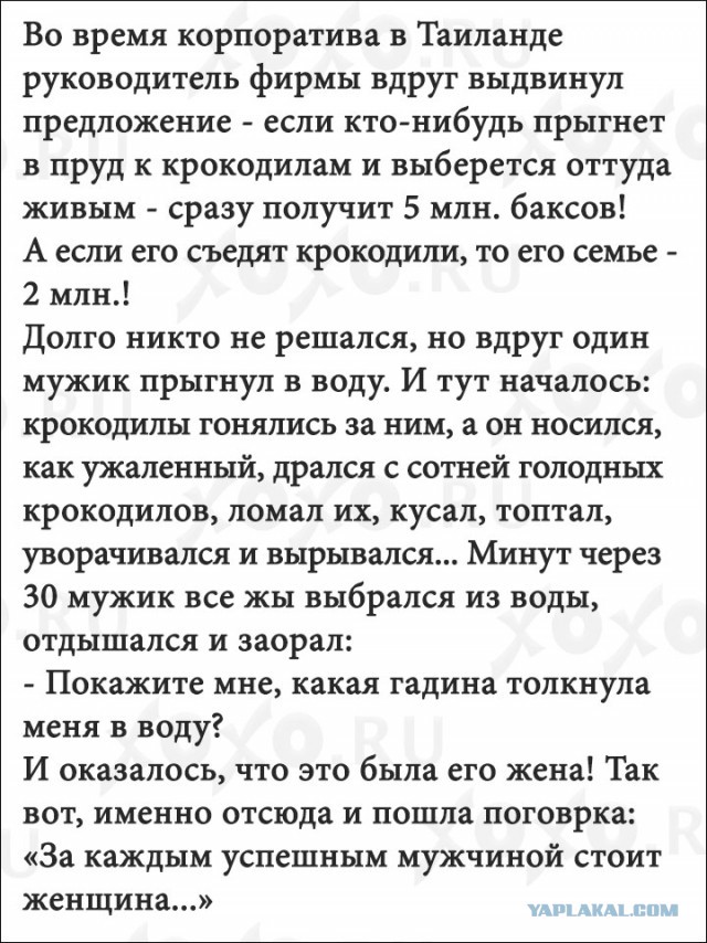 Все хотят успешного мужчину