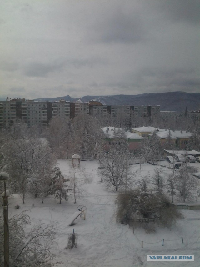 Живу в Красноярске