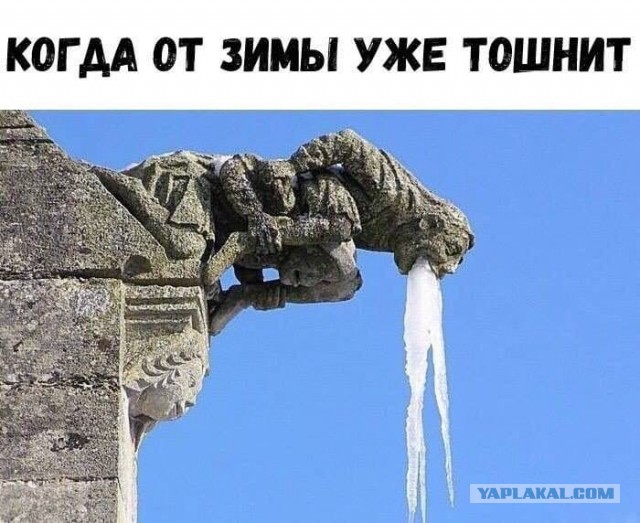 Утренняя подборка картинок и мемов - 7