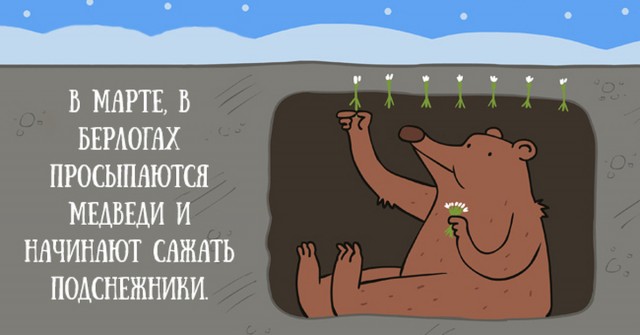 Вот вам первые подснежники