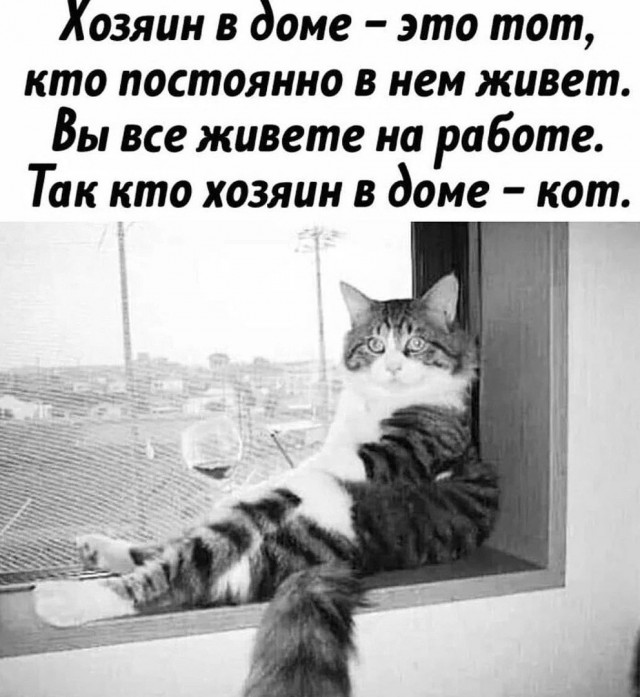 Так себе картинки 16.05.22