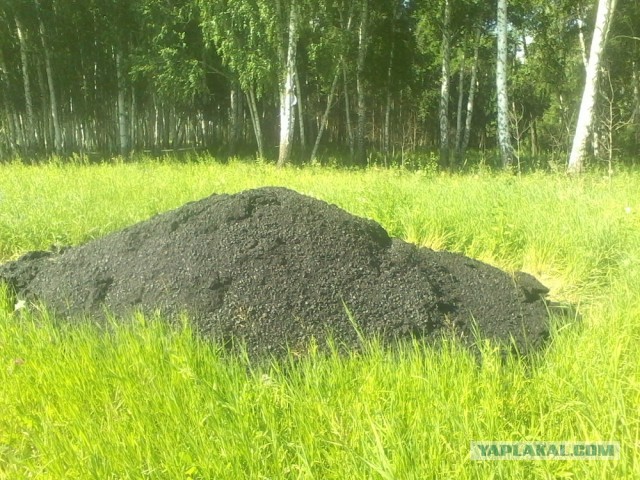 С этим согласен