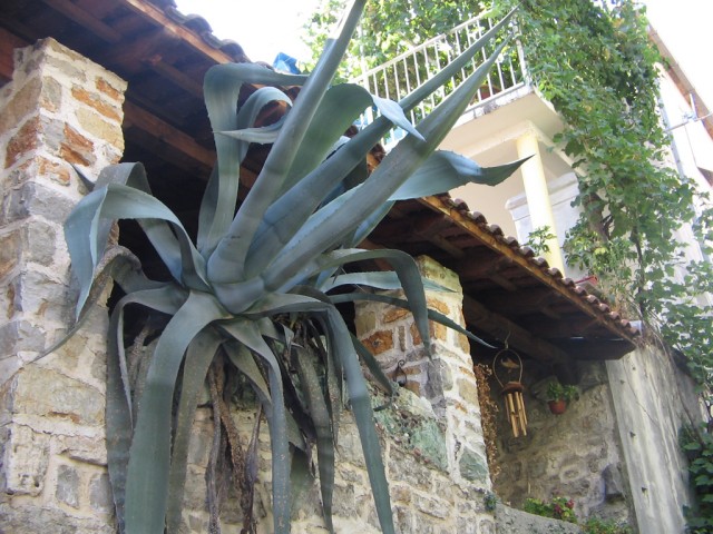 Отдых в Черногории (сентябрь 2012)