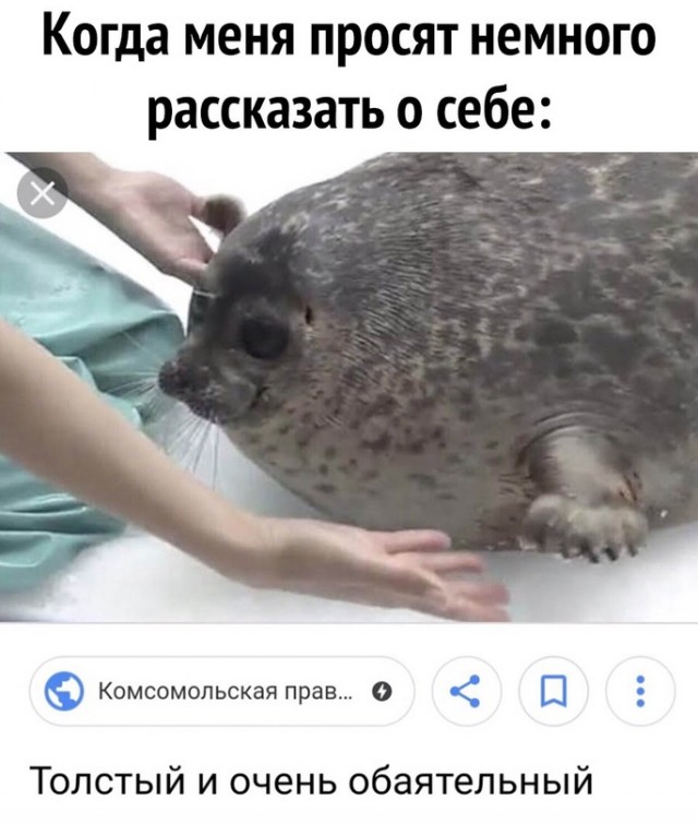 Картинки и мемы для настроения - 21