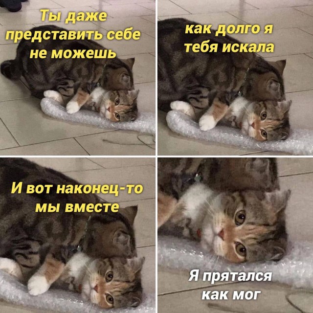 Картинки и мемы для настроения - 111