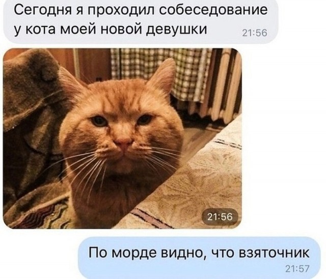 Так себе картинки 08.10.22