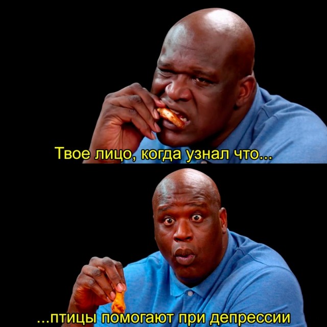 Картинки и мемы для настроения - 119
