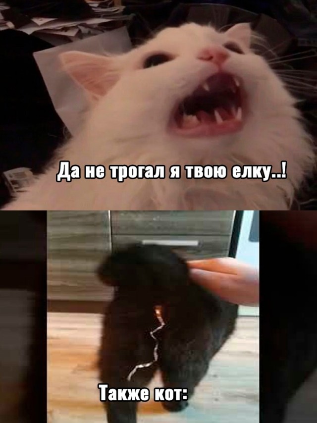 Так себе картинки 04.01.23