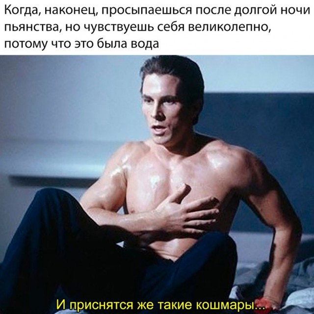 Весёлый полтишок 09.01.23