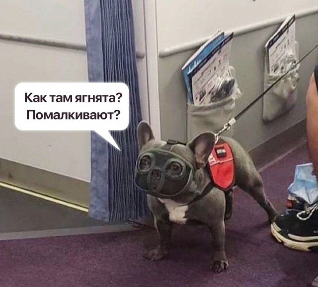 Так себе картинки 15.02.23