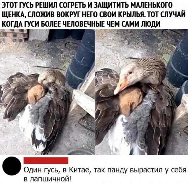 Картинки и мемы, всем хороших выходных