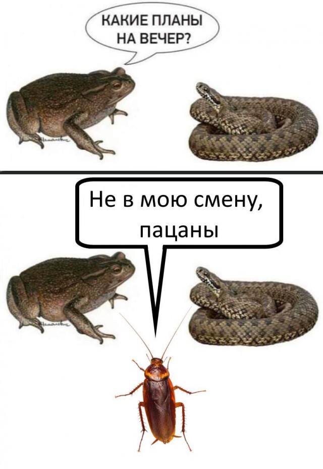 Главное без паники!