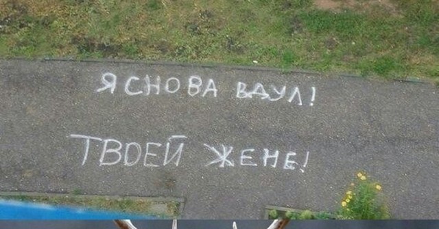 Самцы и самочки