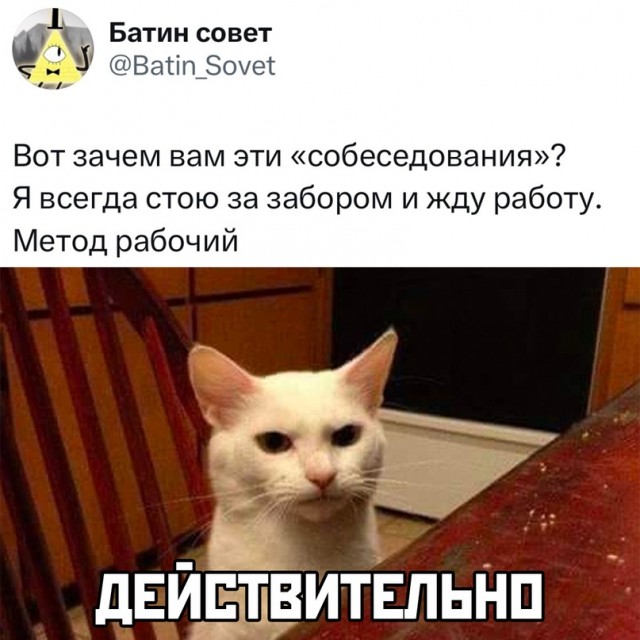 Весёлый полтишок 12.07 23