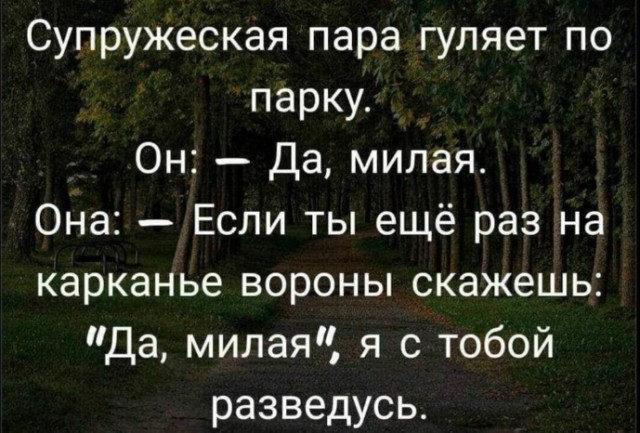Всего понемногу. От 29.01.24