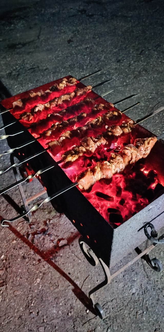Ну вот и первые шашлыки
